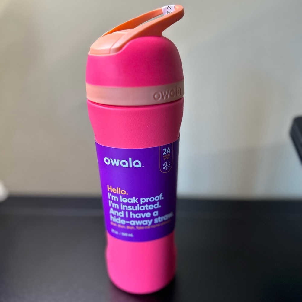 Owala 19oz Hyper Flamingo